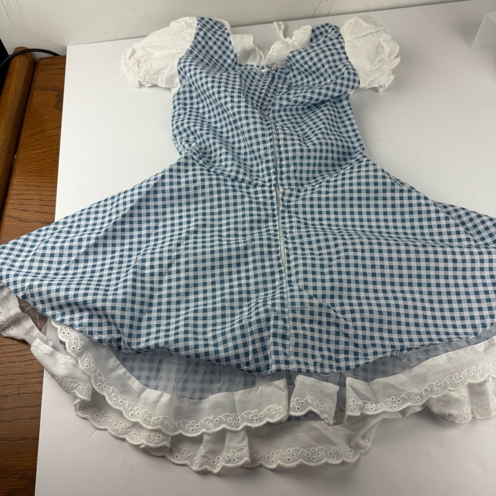Rubie's Secret Wishes Country Girl Womens Small Blue Checked Dress Costume - Picture 8 of 8